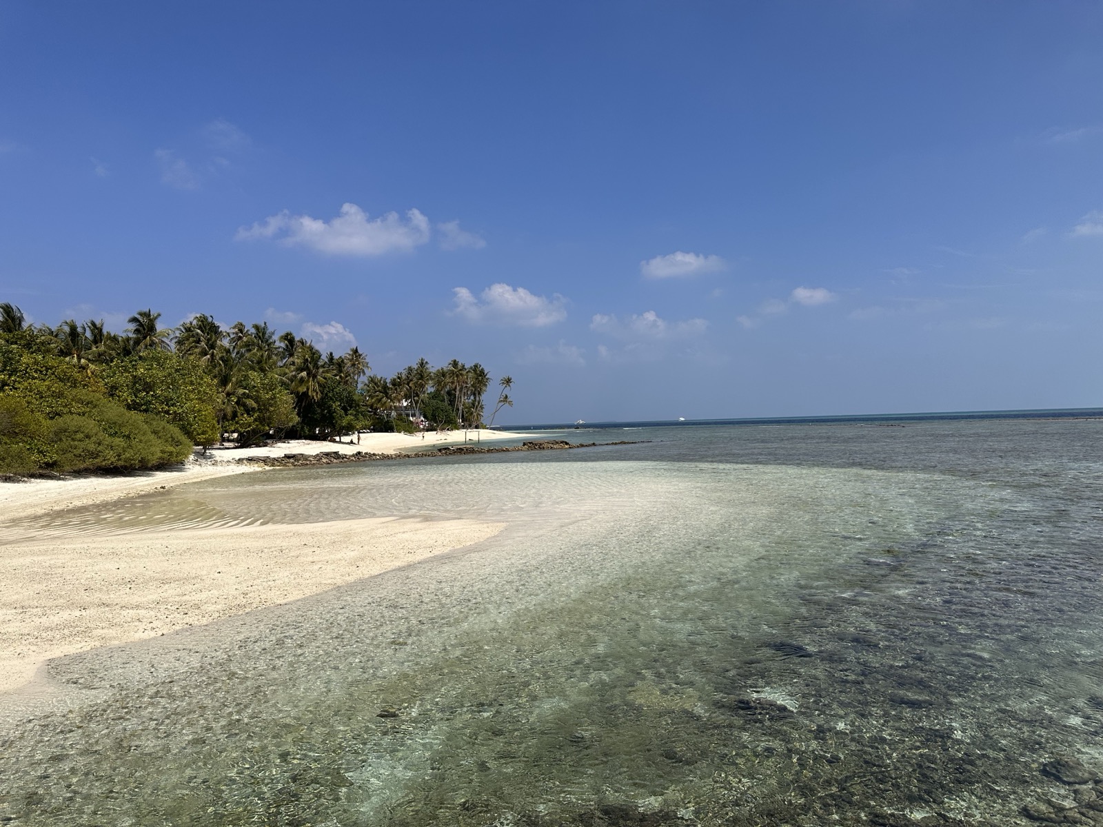 A quiet tropical shoreline with turquoise water